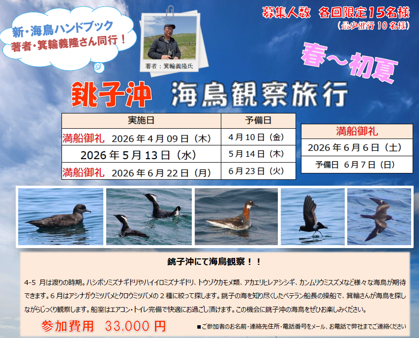 海鳥観察旅行【2026年春～初夏 銚子沖クルーズ】日帰り編 | 海外ゴルフ